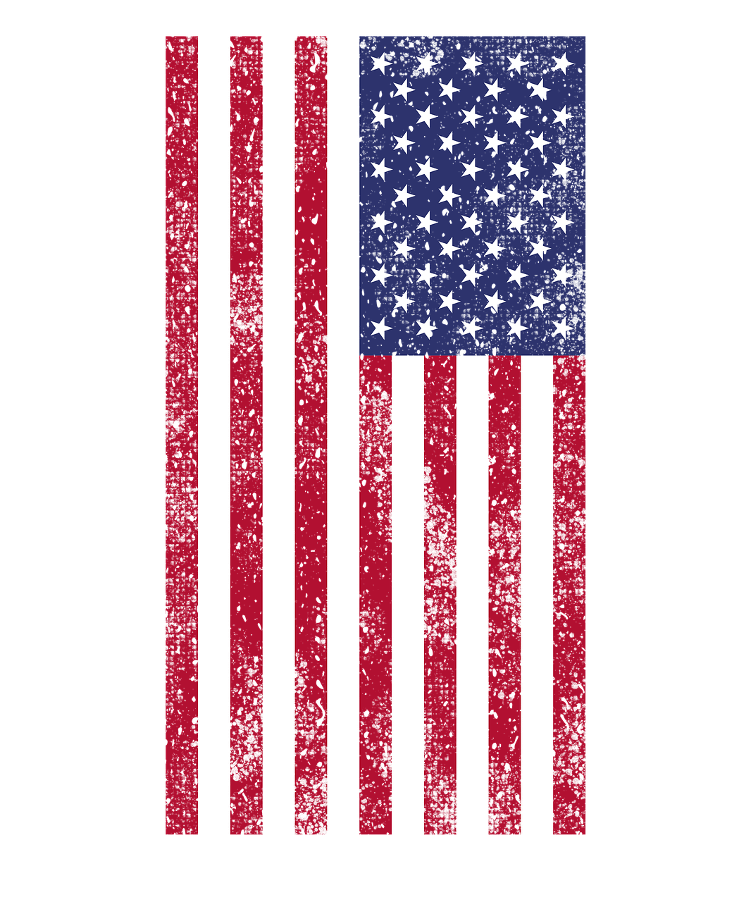 Logo American Flag Download HD PNG Image