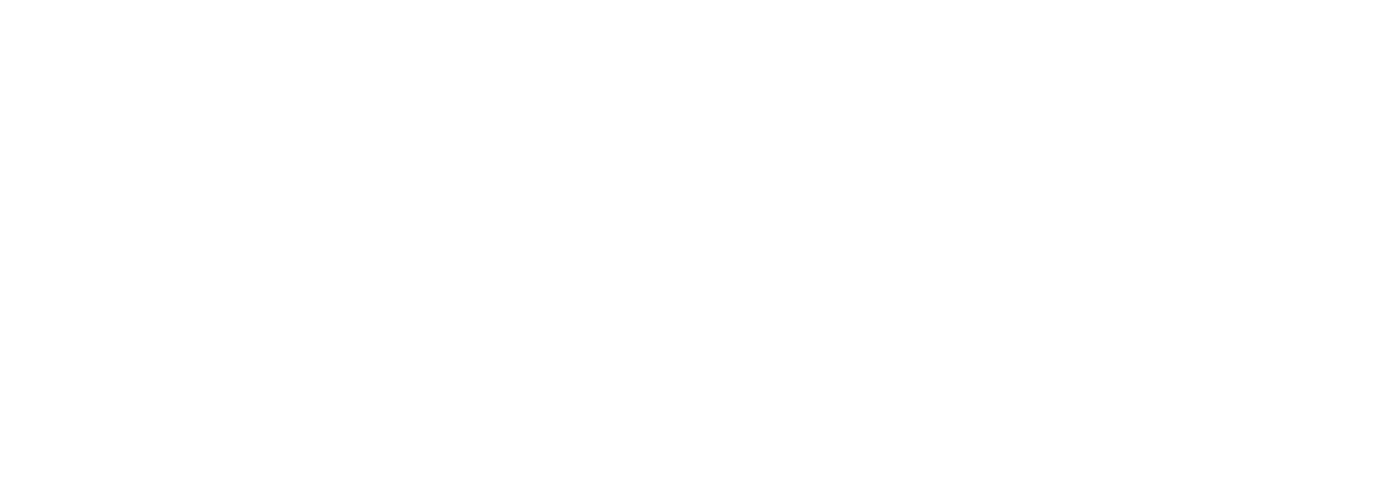 aerosmith logo