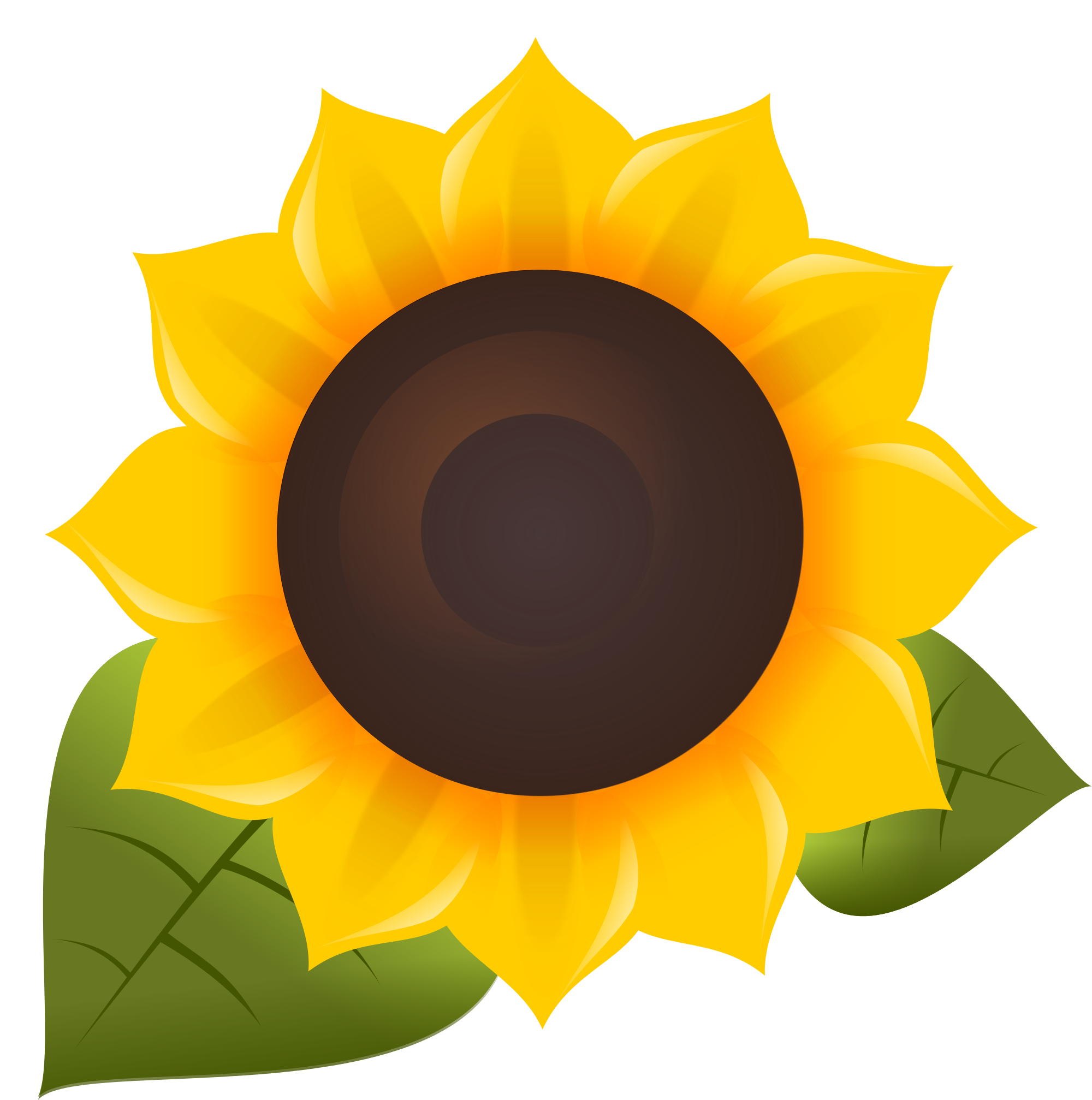 Oil Common Sunflower Software Free Download PNG HQ PNG Image