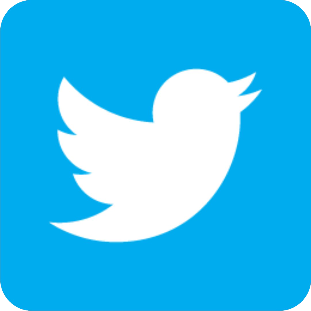Icons Media Twitter Computer Social Logo Bird PNG Image