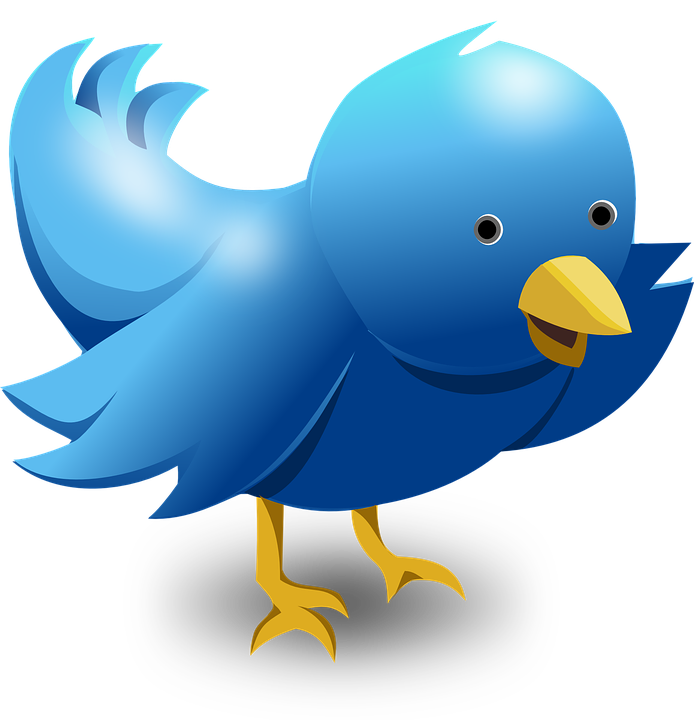 Cuteness Logo Twitter Bird Illustration Download HQ PNG PNG Image