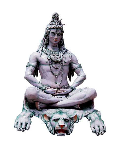 1080p Lord Shiva Hd HD Png Download  480x841250834  PngFind