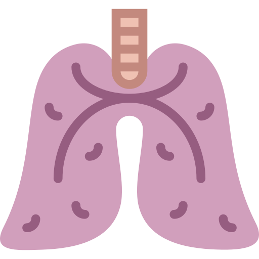 Lungs Transparent PNG Image