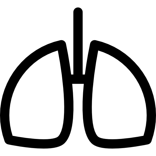 Lungs Transparent PNG Image