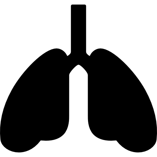Lungs Transparent PNG Image