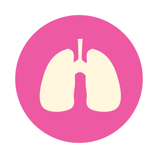 Lungs Transparent PNG Image