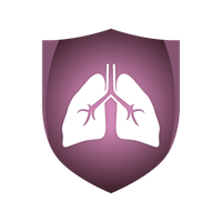 Lungs PNG