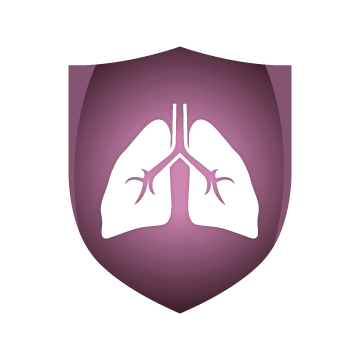 Lungs Transparent PNG Image