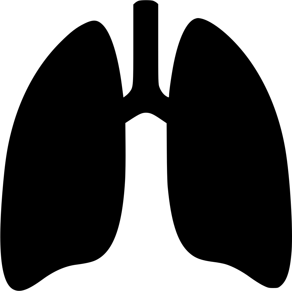 Lungs Transparent PNG Image
