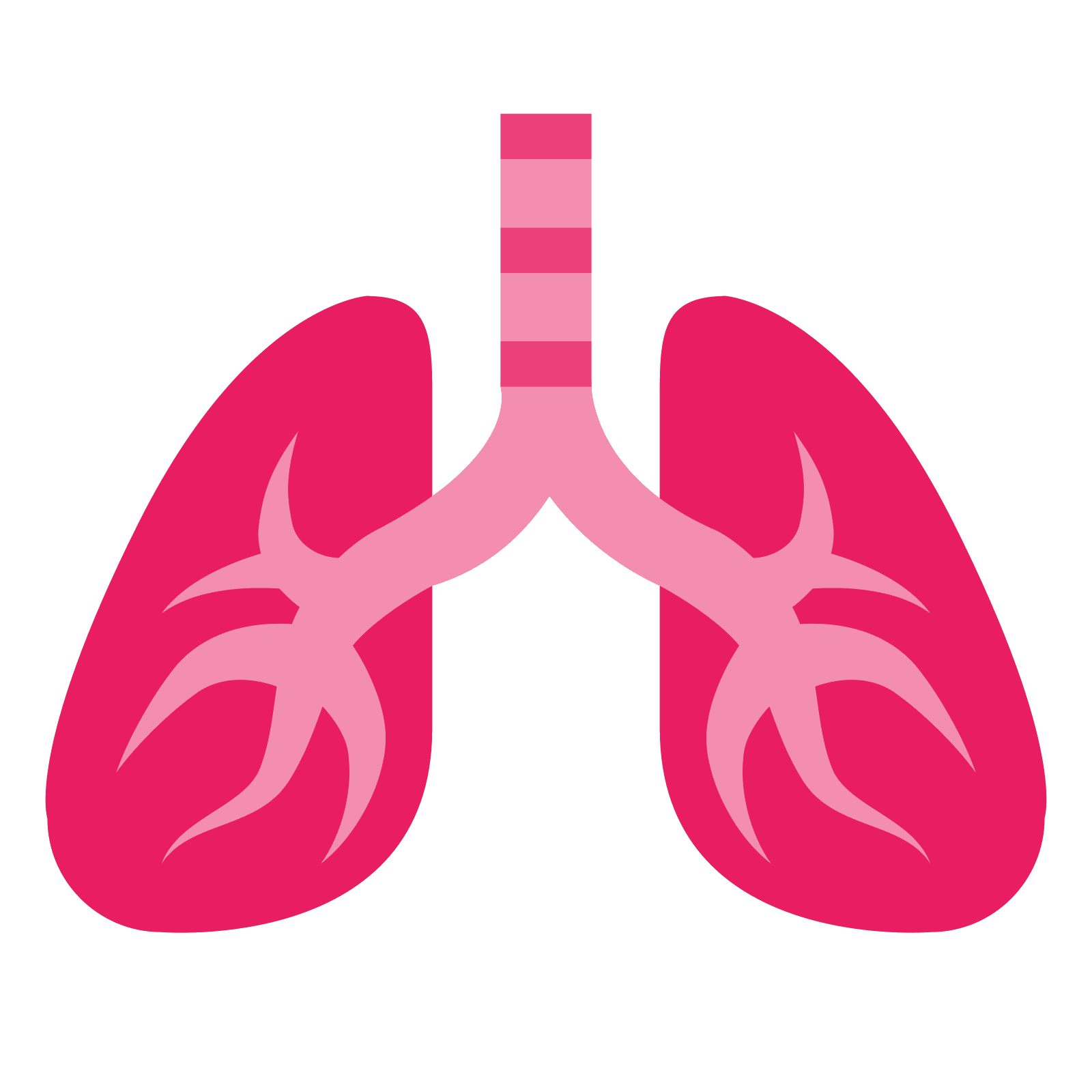 Lungs Transparent PNG Image