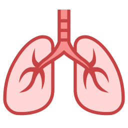 Lungs Transparent PNG Image