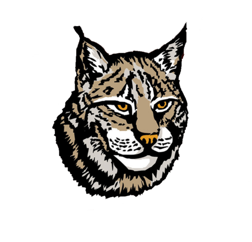 Lynx Png Image PNG Image