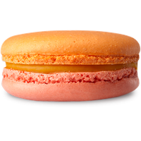 Macaron PNG