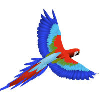 Macaw Png Clipart PNG Image