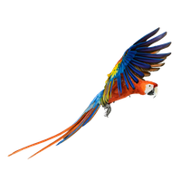 Macaw Png Pic PNG Image