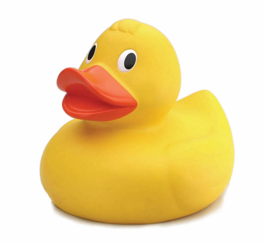 Rubber Duck HQ Image Free PNG PNG Image