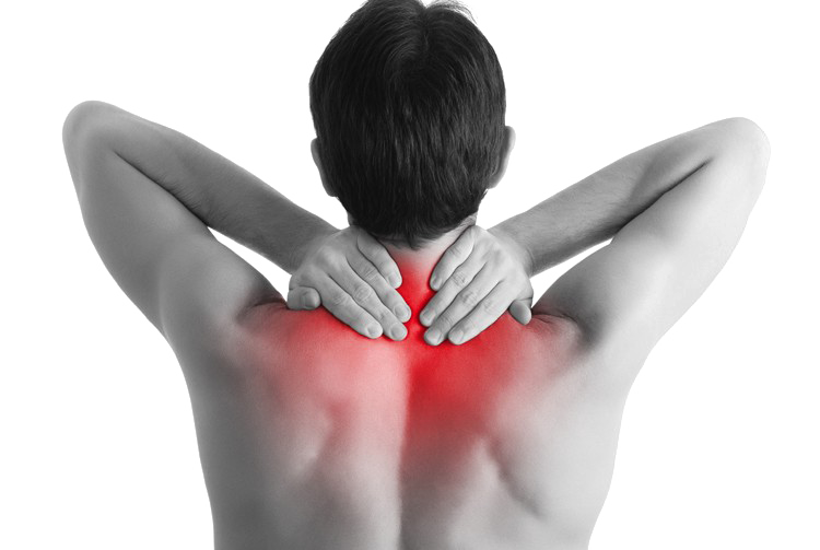 Back Pain Download HD PNG PNG Image