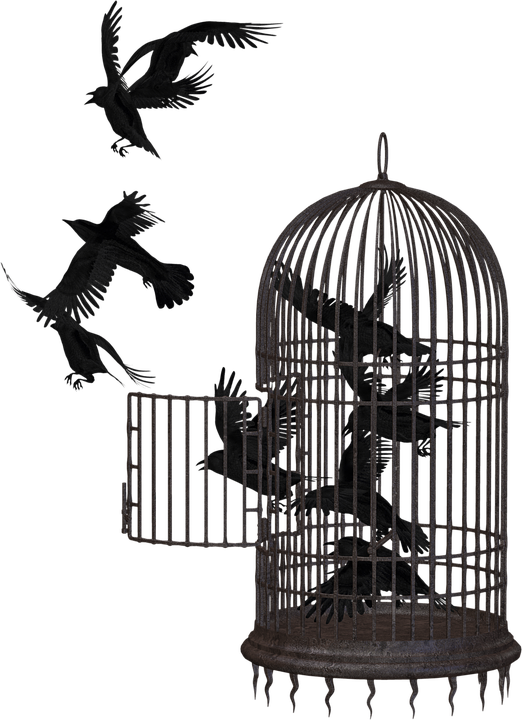 Cage Picture Free PNG HQ PNG Image