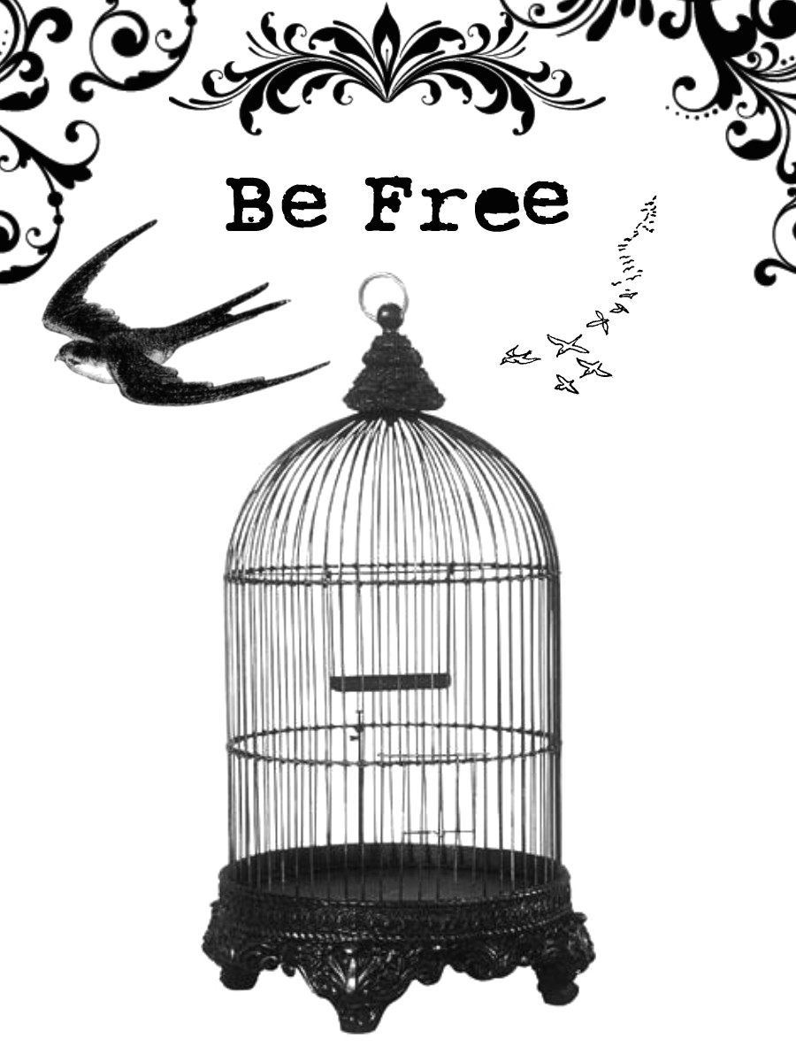 Caged Bird PNG Free Photo PNG Image