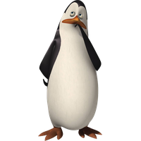 Madagascar penguins