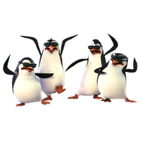 Madagascar penguins PNG