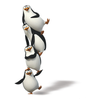 Madagascar penguins PNG