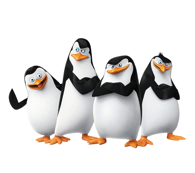 Madagascar penguins Transparent PNG Image