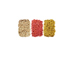 Maggots