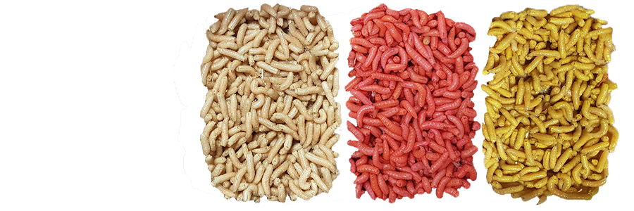 Maggots Transparent PNG Image