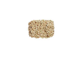 Maggots Transparent PNG Image