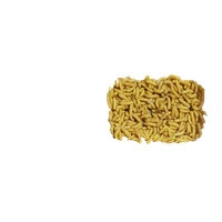 Maggots PNG