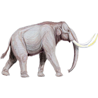Mammoth PNG