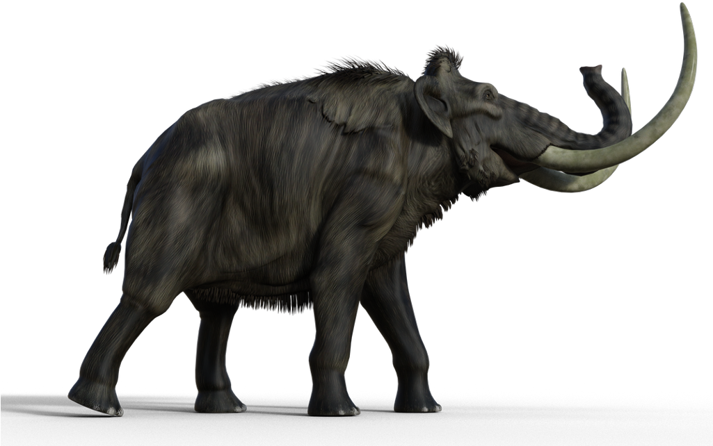 Mammoth Transparent PNG Image