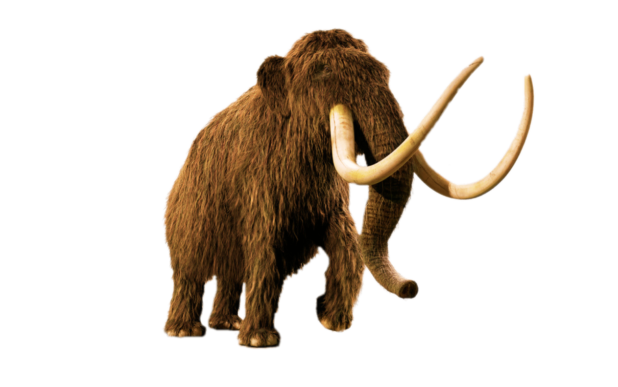 Mammoth Transparent PNG Image