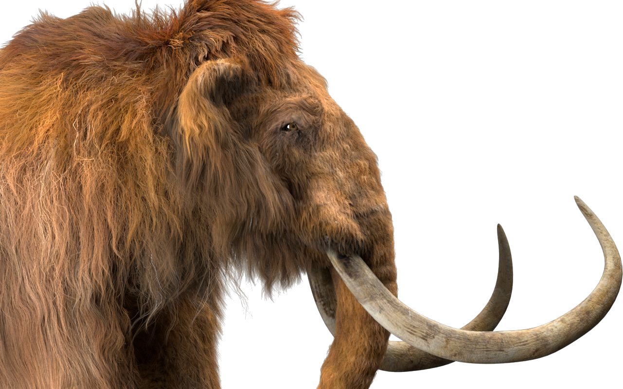 Mammoth Transparent PNG Image
