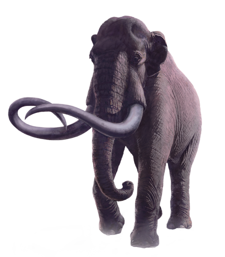 Mammoth Transparent PNG Image