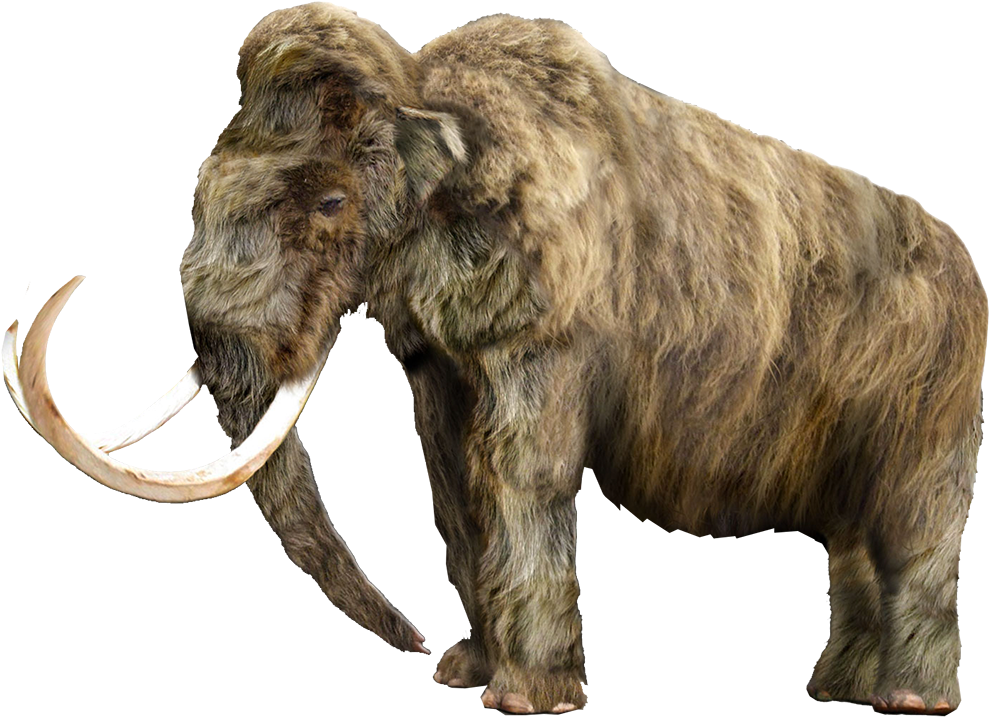 Mammoth Transparent PNG Image