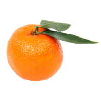 Mandarin PNG