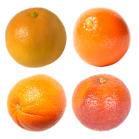Mandarin PNG