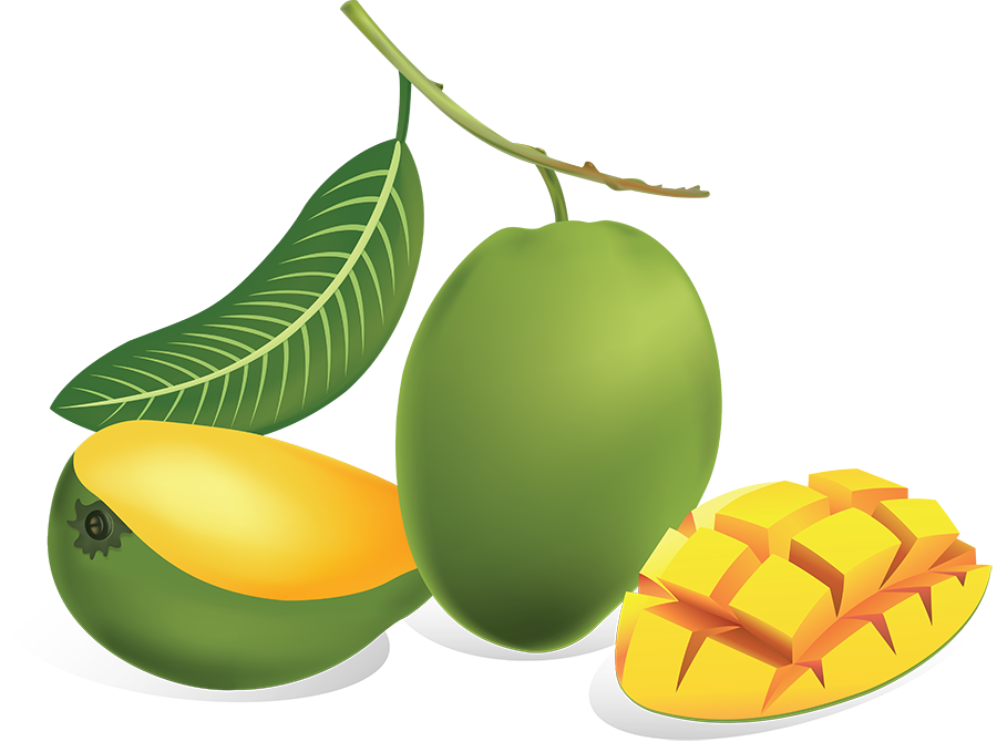 Green Mango PNG Image