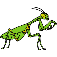 Mantis PNG
