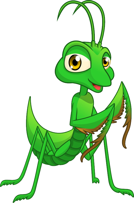 Mantis Transparent PNG Image