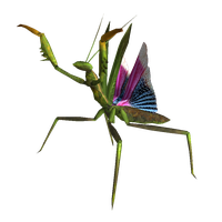Mantis PNG