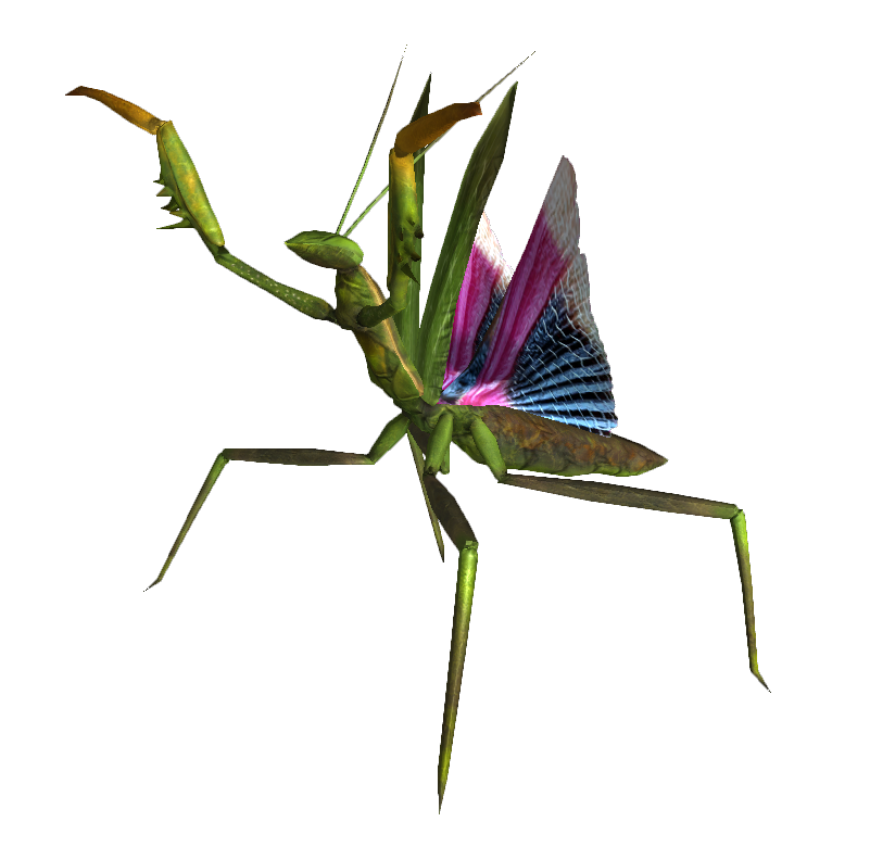 Mantis Transparent PNG Image