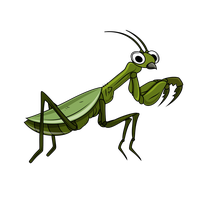 Mantis PNG