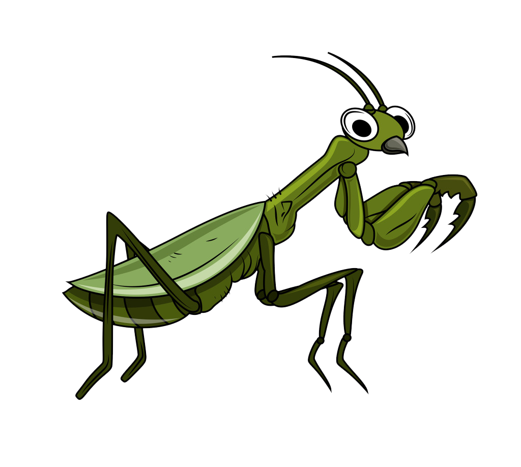 Mantis Transparent PNG Image