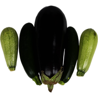 Marrow Transparent PNG Image