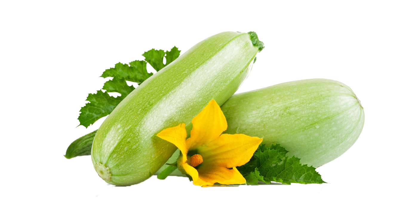 Marrow Transparent PNG Image