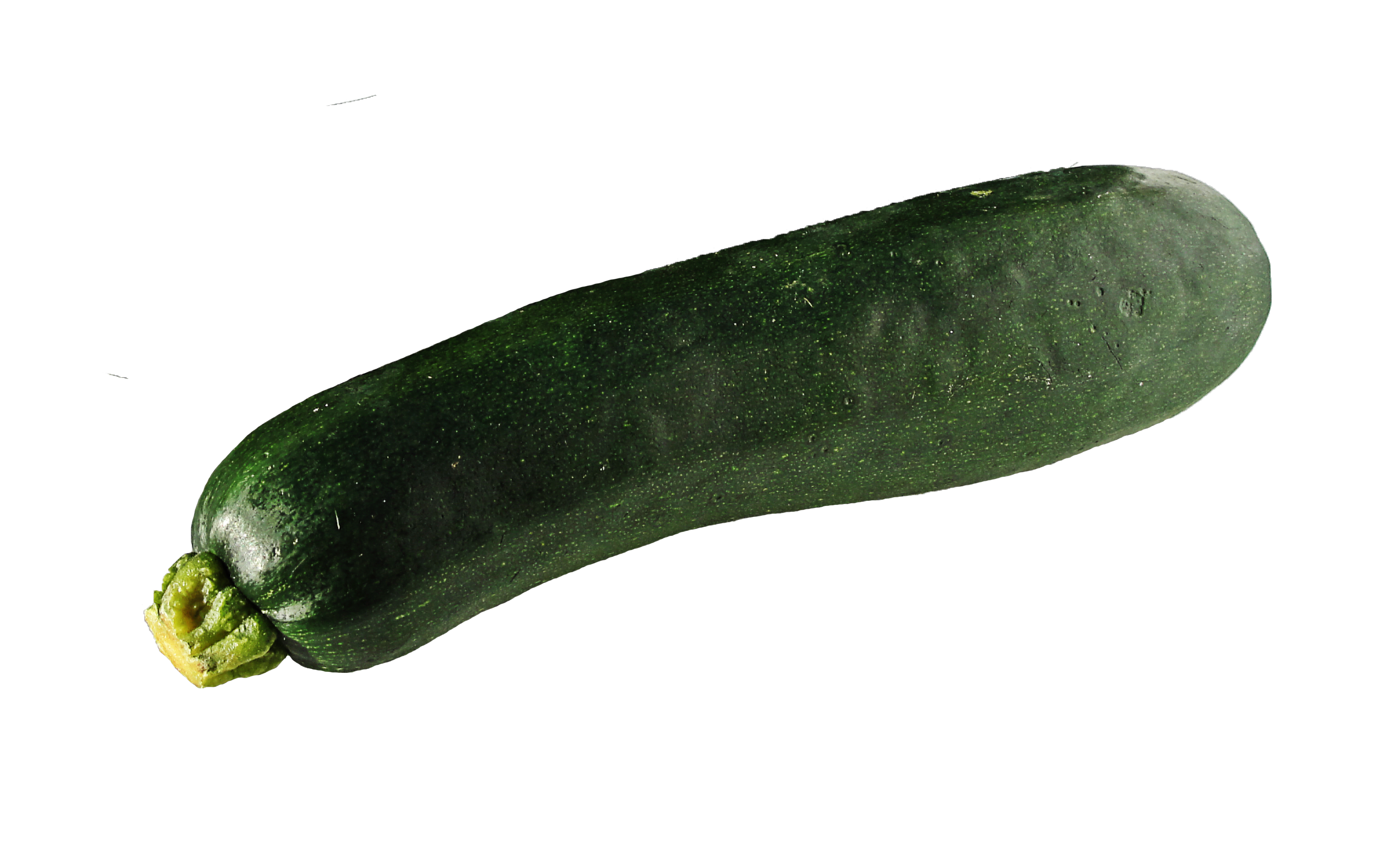 Marrow Transparent PNG Image