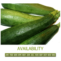 Marrow PNG